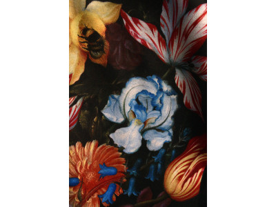 Bloemen in alle kleuren van de regenboog op een donkere achtergrond